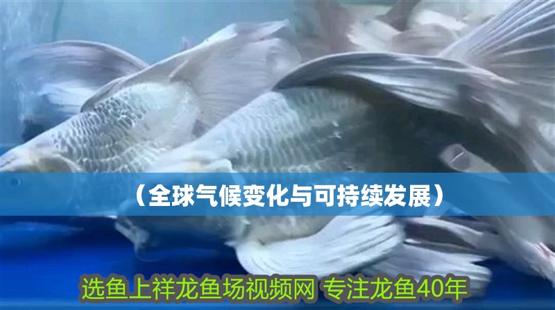 （全球氣候變化與可持續發展）