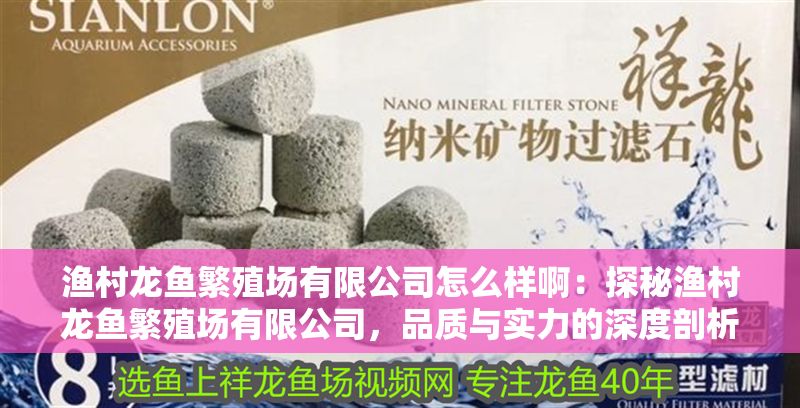 漁村龍魚繁殖場有限公司怎么樣啊：探秘漁村龍魚繁殖場有限公司，品質與實力的深度剖析