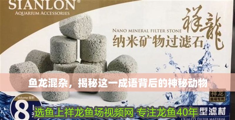 魚龍混雜，揭秘這一成語背后的神秘動物