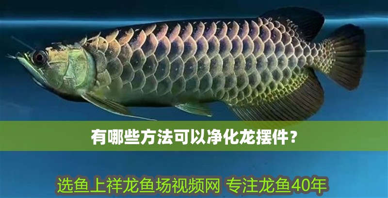 有哪些方法可以凈化龍擺件？ 有哪些方法可以凈化龍擺件？ 龍魚百科