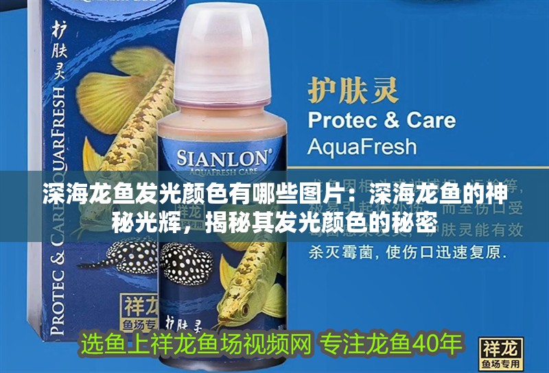 深海龍魚發(fā)光顏色有哪些圖片：深海龍魚的神秘光輝，揭秘其發(fā)光顏色的秘密