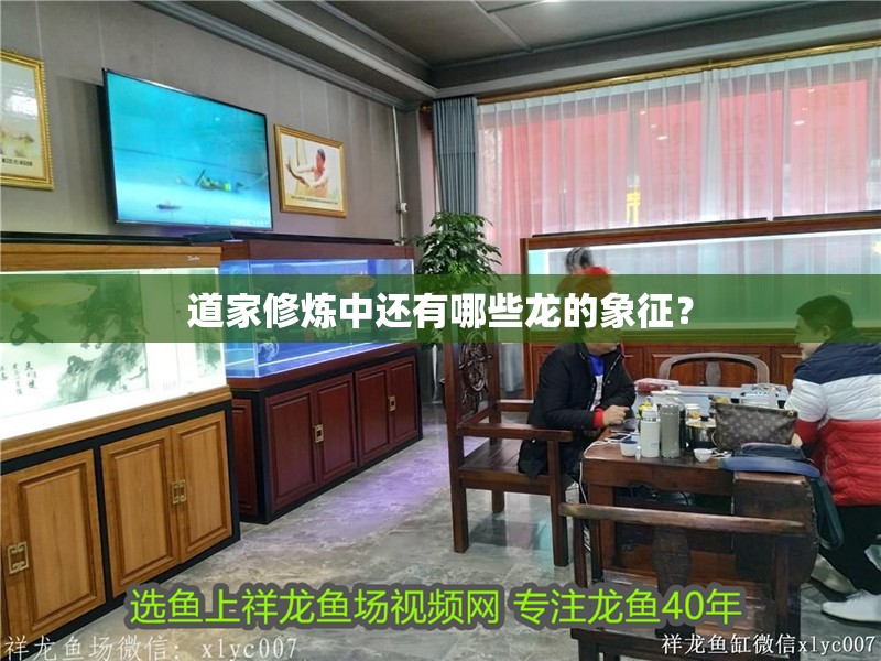 道家修煉中還有哪些龍的象征？