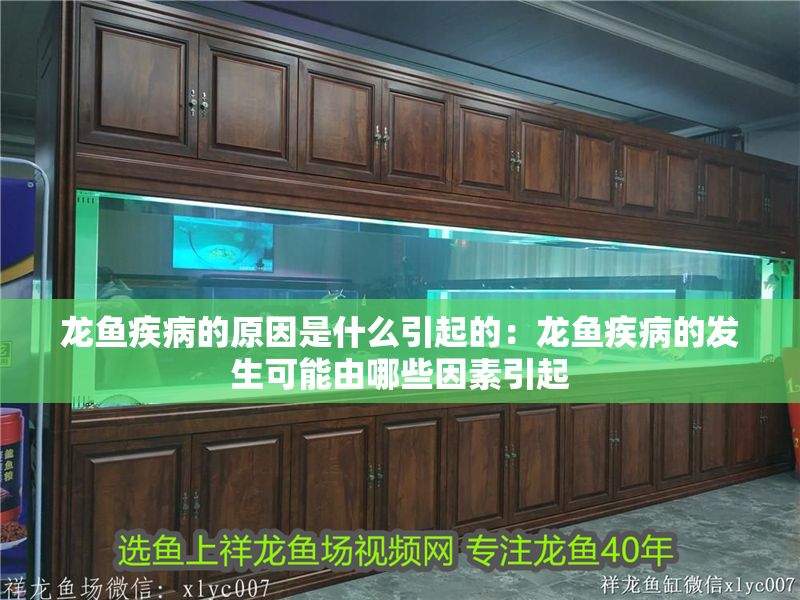 龍魚疾病的原因是什么引起的：龍魚疾病的發(fā)生可能由哪些因素引起