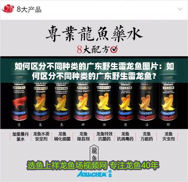 龍骨最好三個品牌