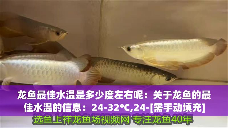 龍魚最佳水溫是多少度左右呢：關于龍魚的最佳水溫的信息：24-32℃,24-[需手動填充]