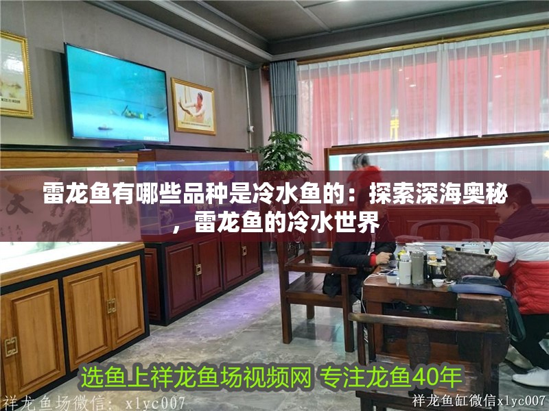 養(yǎng)龍魚選擇什么配魚最好看：養(yǎng)龍魚選擇什么配魚