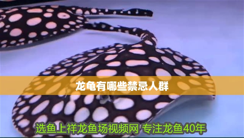 龍龜有哪些禁忌人群