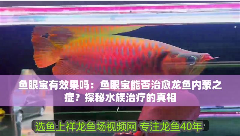 魚眼寶有效果嗎：魚眼寶能否治愈龍魚內蒙之癥？探秘水族治療的真相