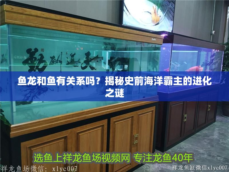 魚龍和魚有關系嗎？揭秘史前海洋霸主的進化之謎