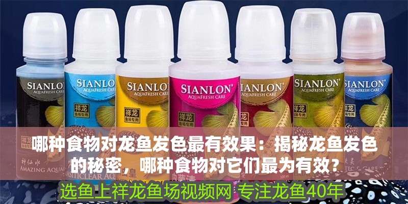 哪種食物對龍魚發(fā)色最有效果：揭秘龍魚發(fā)色的秘密，哪種食物對它們最為有效？
