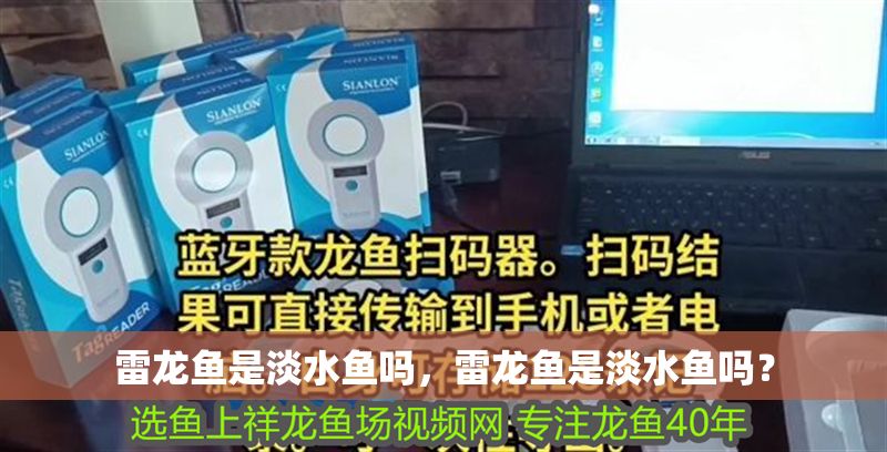 雷龍魚(yú)是淡水魚(yú)嗎，雷龍魚(yú)是淡水魚(yú)嗎？