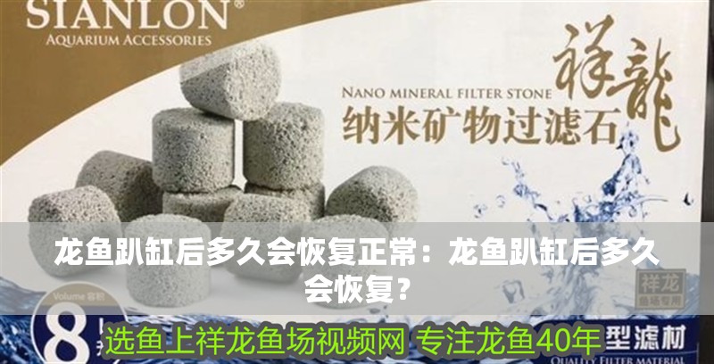龍魚趴缸后多久會恢復正常：龍魚趴缸后多久會恢復？