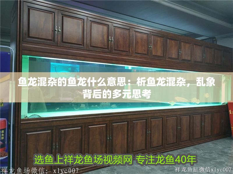 魚龍混雜的魚龍什么意思：析魚龍混雜，亂象背后的多元思考