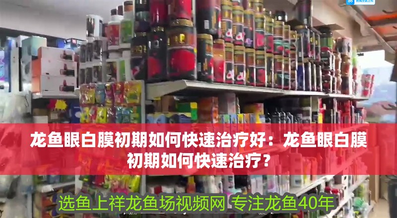 龍魚眼白膜初期如何快速治療好：龍魚眼白膜初期如何快速治療？