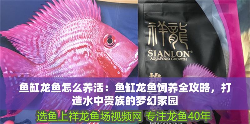 魚缸龍魚怎么養活：魚缸龍魚飼養全攻略，打造水中貴族的夢幻家園