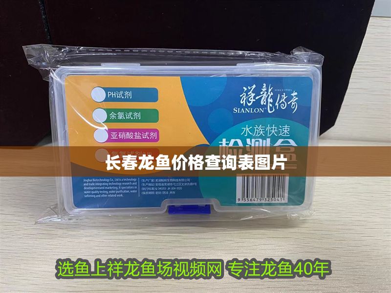 長春龍魚價格查詢表圖片