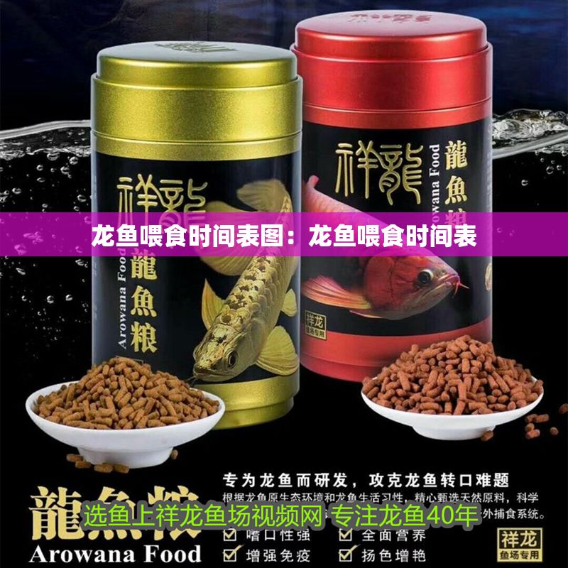 龍魚喂食時間表圖：龍魚喂食時間表
