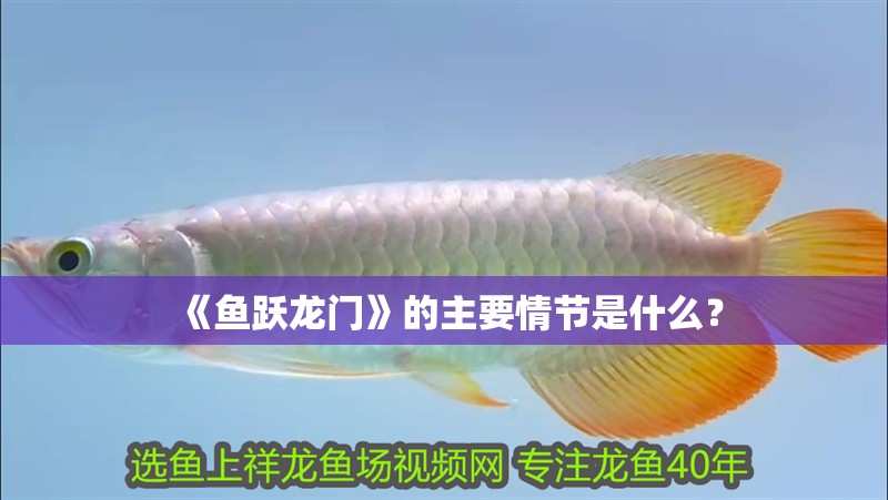 《魚躍龍門》的主要情節(jié)是什么？