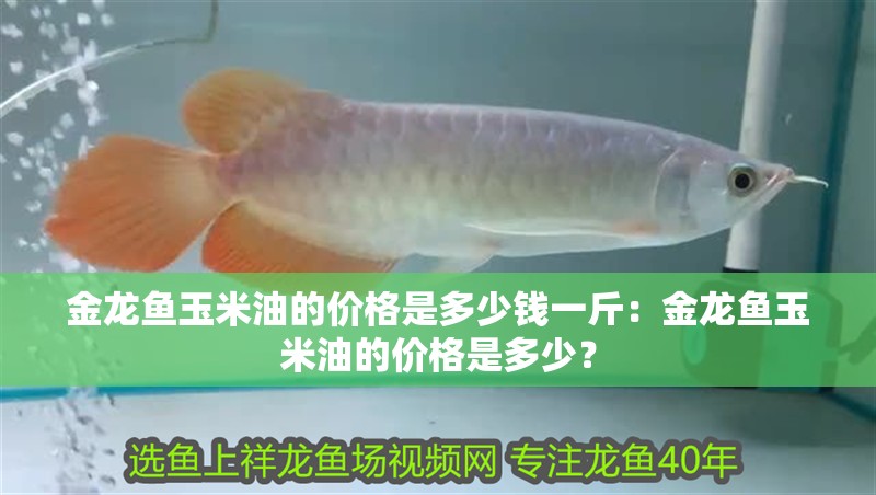 金龍魚玉米油的價格是多少錢一斤：金龍魚玉米油的價格是多少？