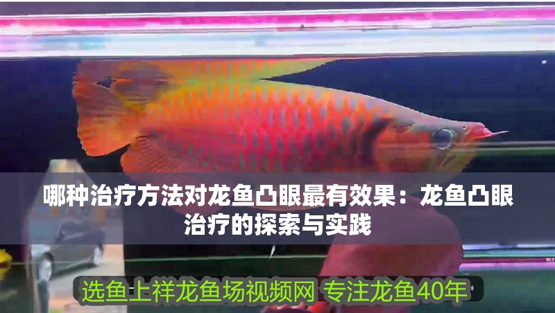 哪種治療方法對龍魚凸眼最有效果：龍魚凸眼治療的探索與實踐