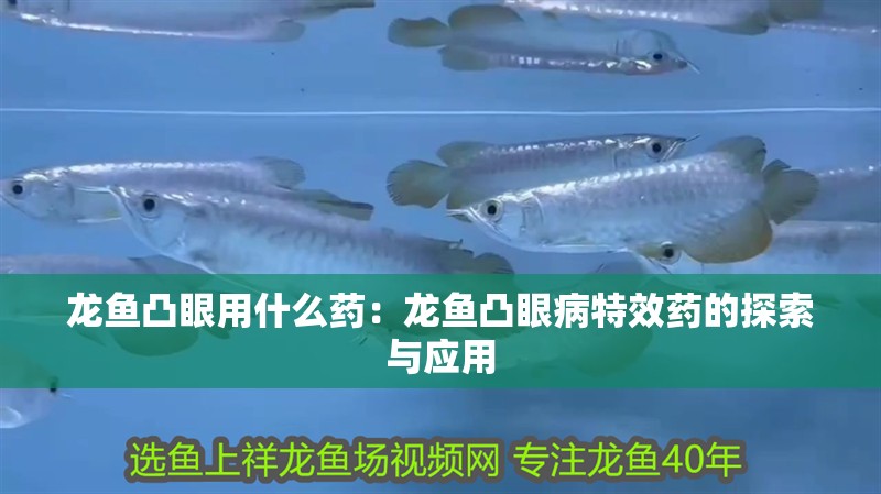 龍魚凸眼用什么藥：龍魚凸眼病特效藥的探索與應用