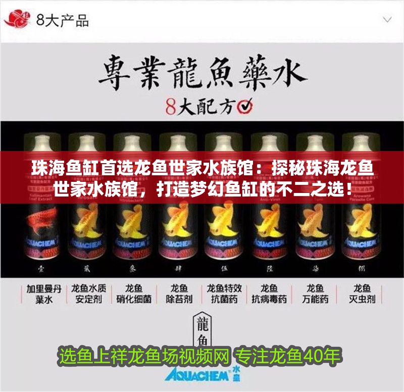 珠海魚缸首選龍魚世家水族館：探秘珠海龍魚世家水族館，打造夢幻魚缸的不二之選！