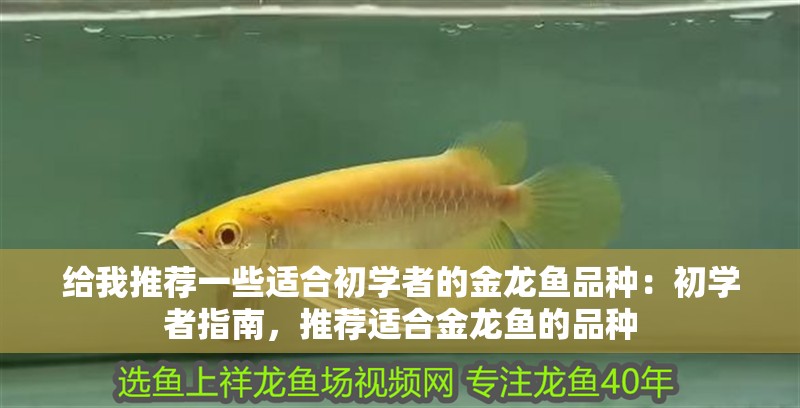 羅非魚又叫鯛魚嗎？