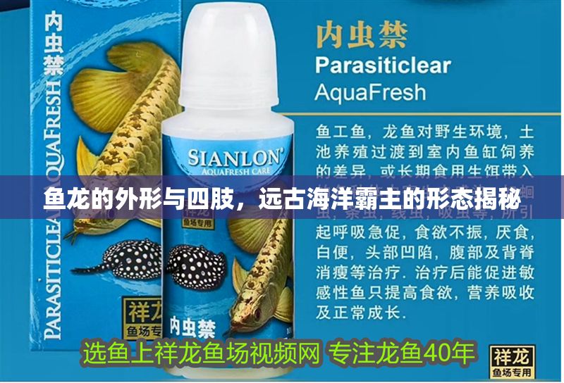 魚(yú)龍的外形與四肢，遠(yuǎn)古海洋霸主的形態(tài)揭秘