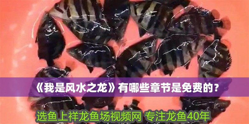 《我是風水之龍》有哪些章節(jié)是免費的？ 《我是風水之龍》有哪些章節(jié)是免費的？ 龍魚百科