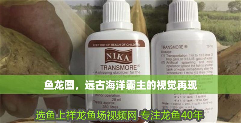 魚龍圖，遠(yuǎn)古海洋霸主的視覺再現(xiàn)