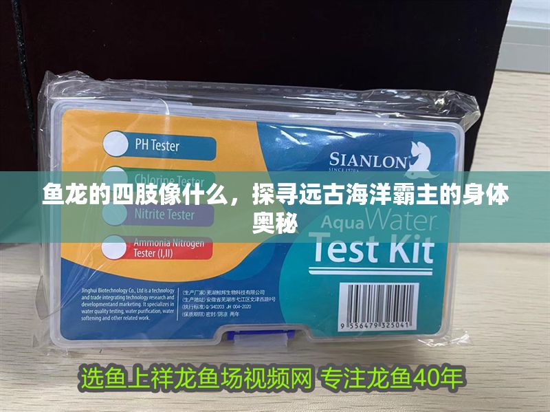 魚龍的四肢像什么，探尋遠古海洋霸主的身體奧秘 魚龍的四肢像什么，探尋遠古海洋霸主的身體奧秘 龍魚百科 第1張