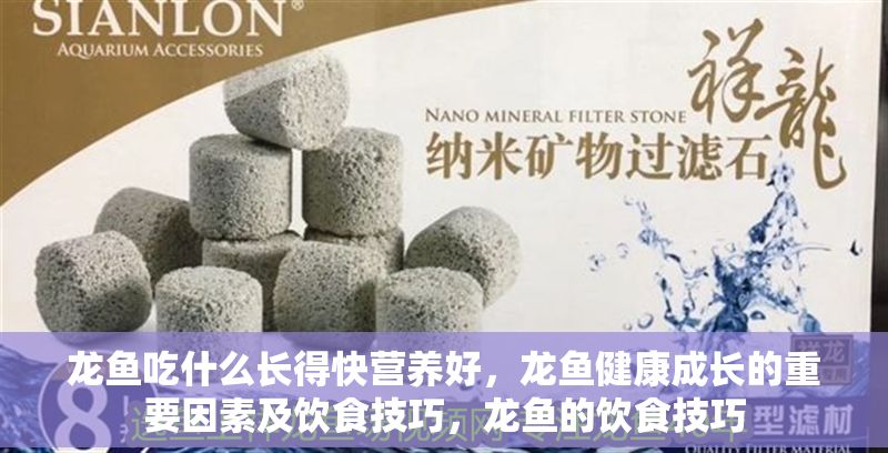 龍魚吃什么長得快營養好,龍魚健康成長的重要因素及飲食技巧,龍魚的飲食技巧 龍魚百科 第2張 龍魚吃什么長得快營養好,龍魚健康成長的重要因素及飲食技巧,龍魚的飲食技巧 龍魚吃什么長得快營養好,龍魚健康成長的重要因素及飲食技巧,龍魚的飲食技巧 龍魚百科 第2張