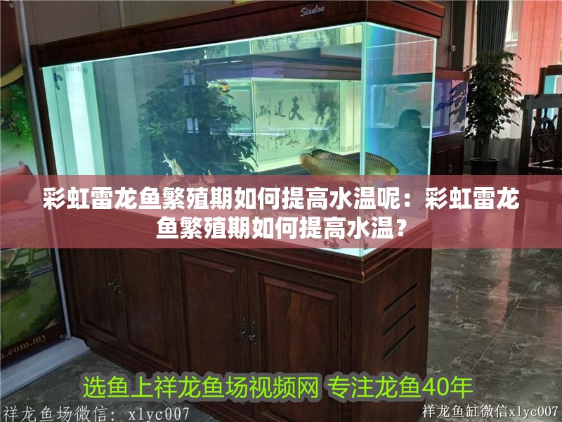 彩虹雷龍魚繁殖期如何提高水溫呢：彩虹雷龍魚繁殖期如何提高水溫？
