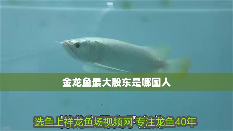 魚缸用增氧泵價格是多少:魚缸增氧機-xtrac增氧機-xtrac增氧機 金龍魚最大股東是哪國人 龍魚百科 金龍魚最大股東是哪國人 金龍魚最大股東是哪國人 龍魚百科