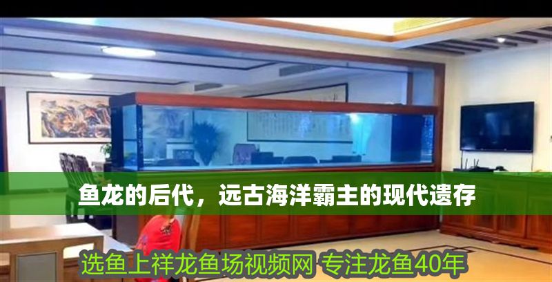 魚(yú)龍的后代，遠(yuǎn)古海洋霸主的現(xiàn)代遺存