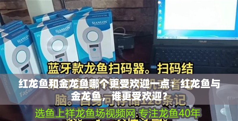 如何讓龍魚不打架：如何防止龍魚之間的爭斗