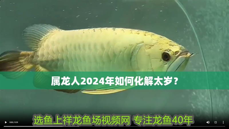 屬龍人2024年如何化解太歲？