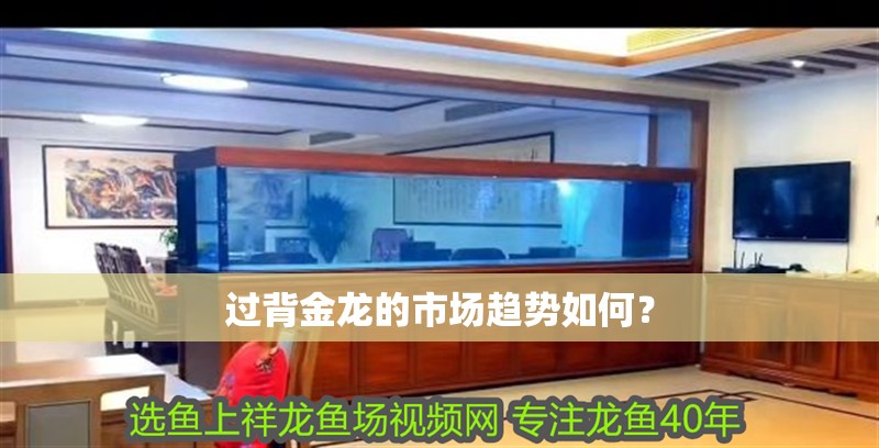 過(guò)背金龍的市場(chǎng)趨勢(shì)如何？