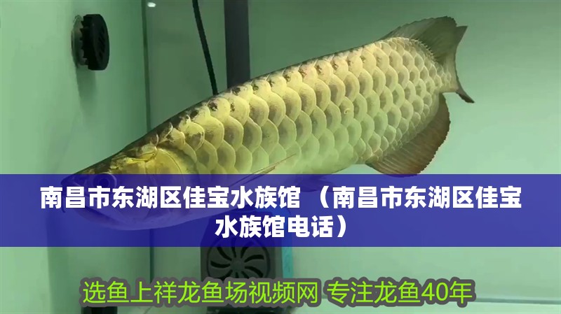 南昌市東湖區佳寶水族館 （南昌市東湖區佳寶水族館電話）