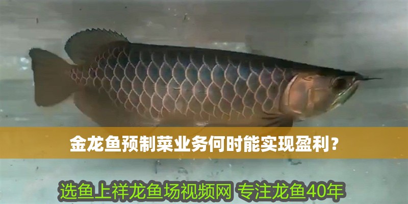 金龍魚預制菜業務何時能實現盈利？