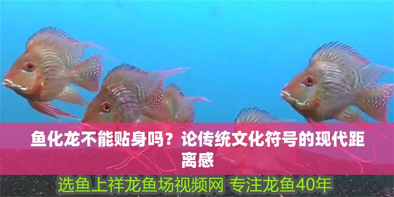 魚化龍不能貼身嗎？論傳統文化符號的現代距離感
