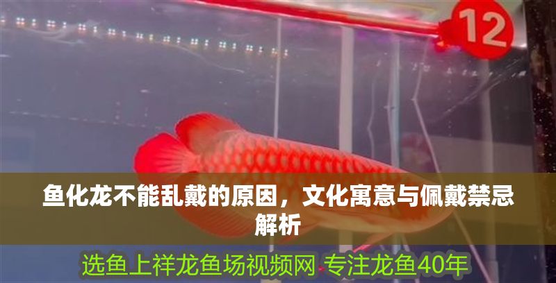 魚化龍不能亂戴的原因，文化寓意與佩戴禁忌解析