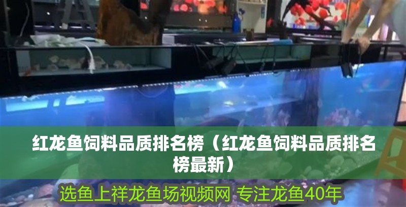 紅龍魚飼料品質排名榜（紅龍魚飼料品質排名榜最新）