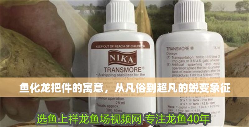 魚化龍把件的寓意，從凡俗到超凡的蛻變象征