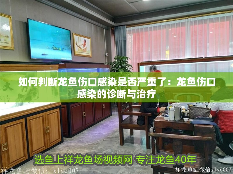 如何判斷龍魚傷口感染是否嚴(yán)重了：龍魚傷口感染的診斷與治療