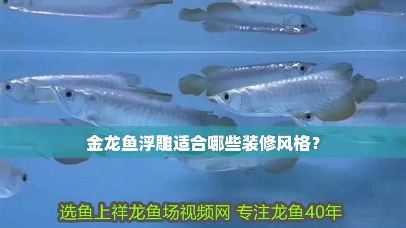 金龍魚浮雕適合哪些裝修風格？ 金龍魚浮雕適合哪些裝修風格？ 龍魚百科