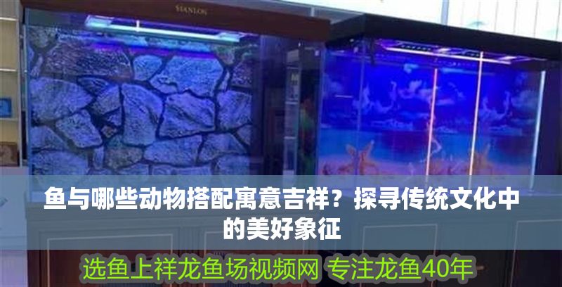魚與哪些動(dòng)物搭配寓意吉祥？探尋傳統(tǒng)文化中的美好象征