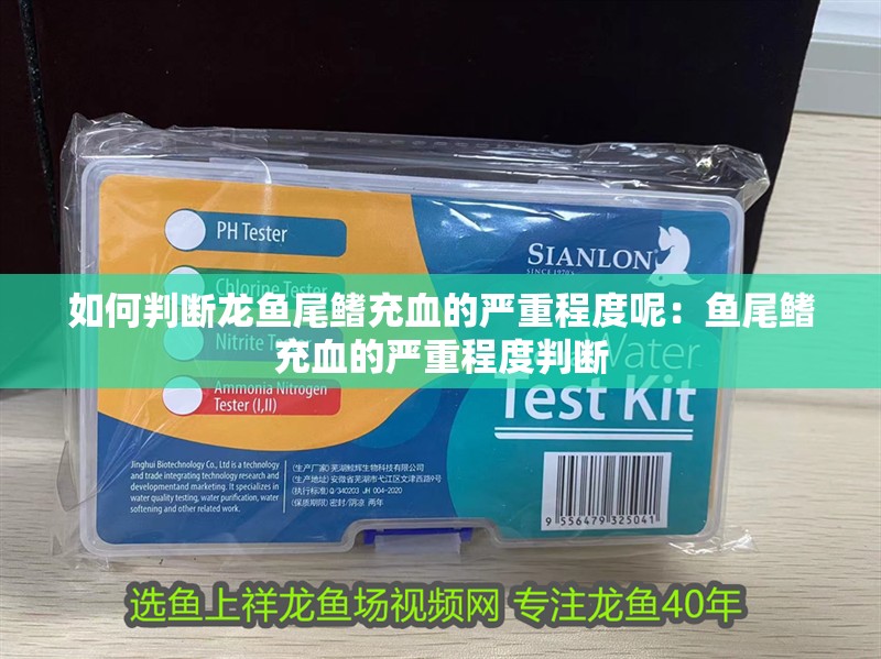 如何判斷龍魚尾鰭充血的嚴重程度呢：魚尾鰭充血的嚴重程度判斷