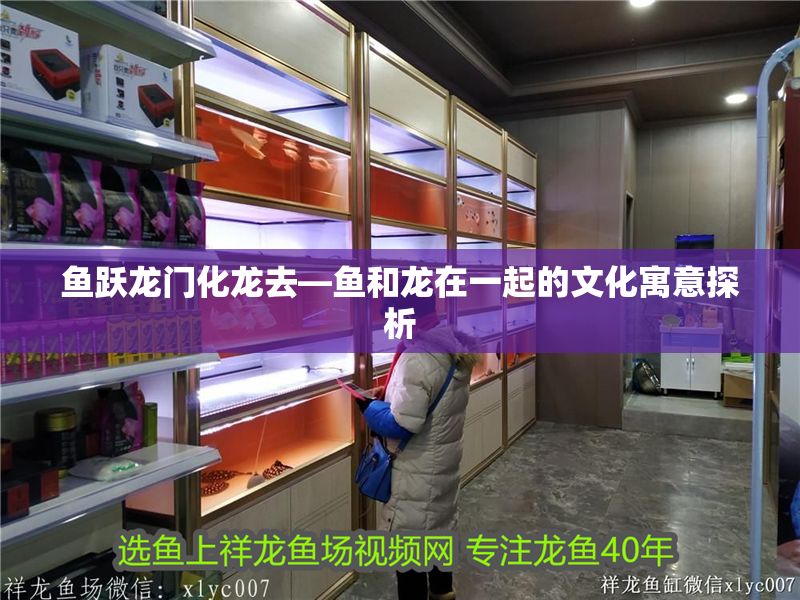 魚躍龍門化龍去—魚和龍在一起的文化寓意探析