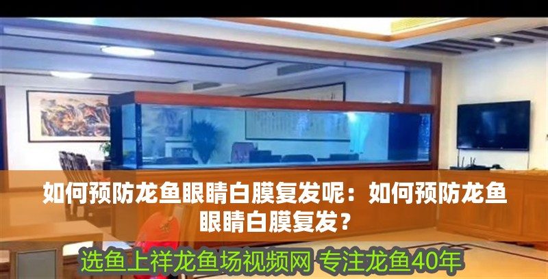 如何預(yù)防龍魚眼睛白膜復(fù)發(fā)呢：如何預(yù)防龍魚眼睛白膜復(fù)發(fā)？